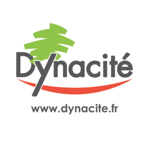 Création du nom Dynacité par Nymeo