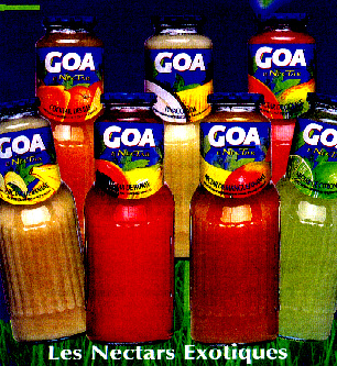 Création du nom goa Nymeo Création de nom